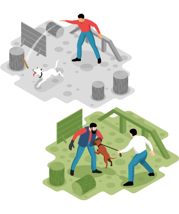 Курсы дрессировки собак